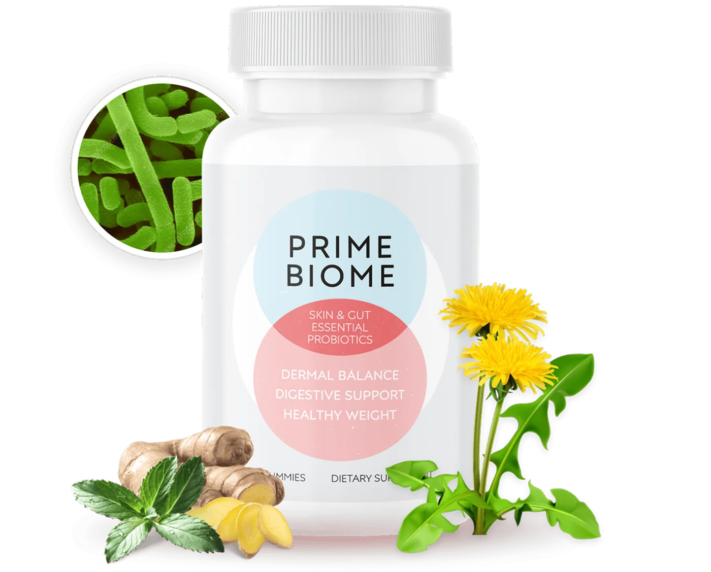 PrimeBiome supplement